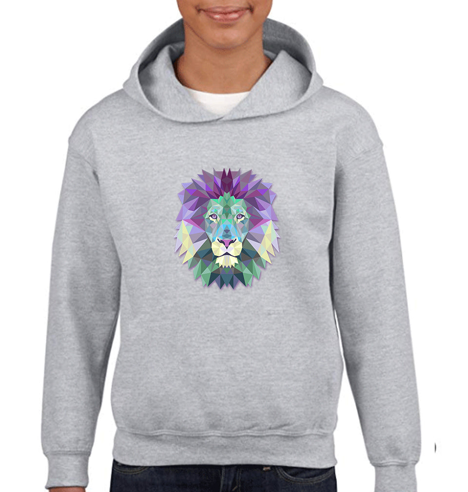 LION Boy Hoodies-FunkyTeesClub
