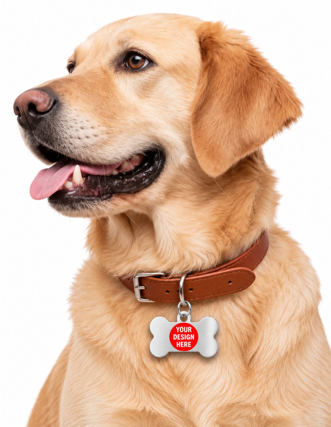 A golden retriever dog wearing a brown leather collar with a white bone-shaped tag that has a red circular placeholder design, set against a solid white background.