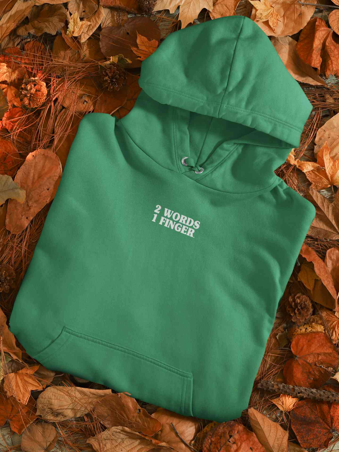 2 Words One Finger Men Hoodies-FunkyTeesClub