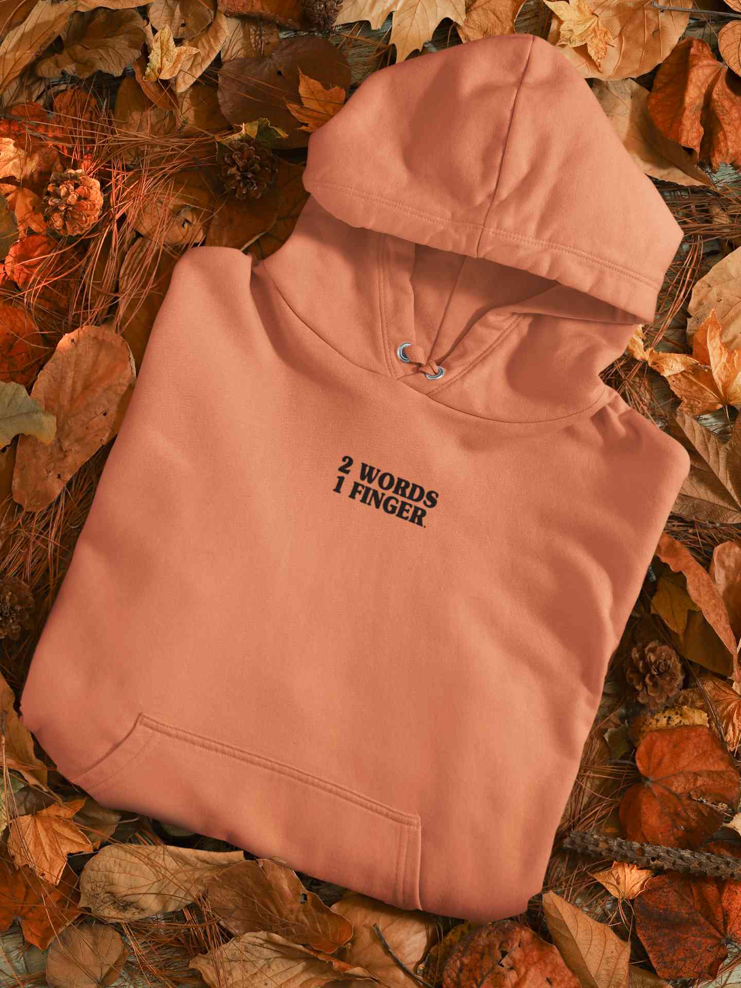 2 Words One Finger Hoodies for Women-FunkyTeesClub
