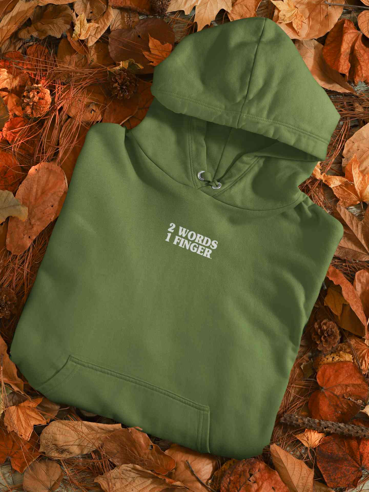 2 Words One Finger Men Hoodies-FunkyTeesClub