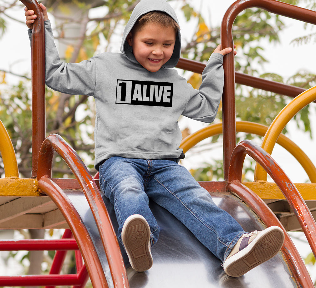 PUBG 1 Alive Boy Hoodies-FunkyTeesClub