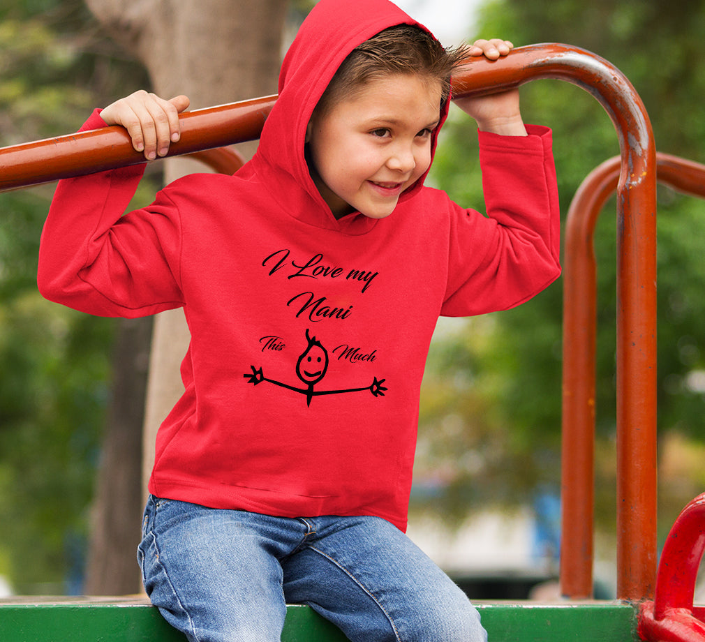 I Love my Nani Boy Hoodies-FunkyTeesClub