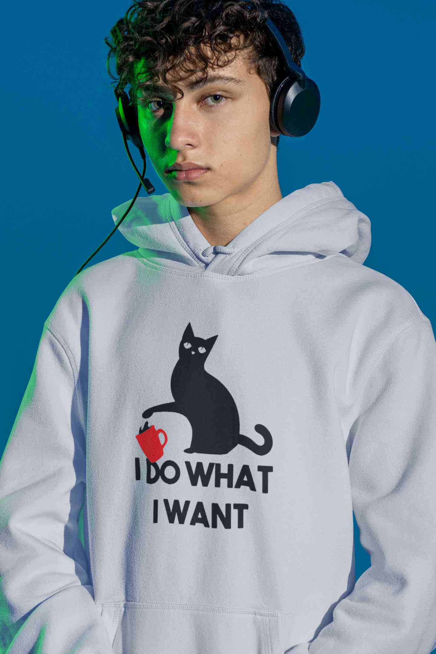 I Do What I Want Men Hoodies-FunkyTeesClub