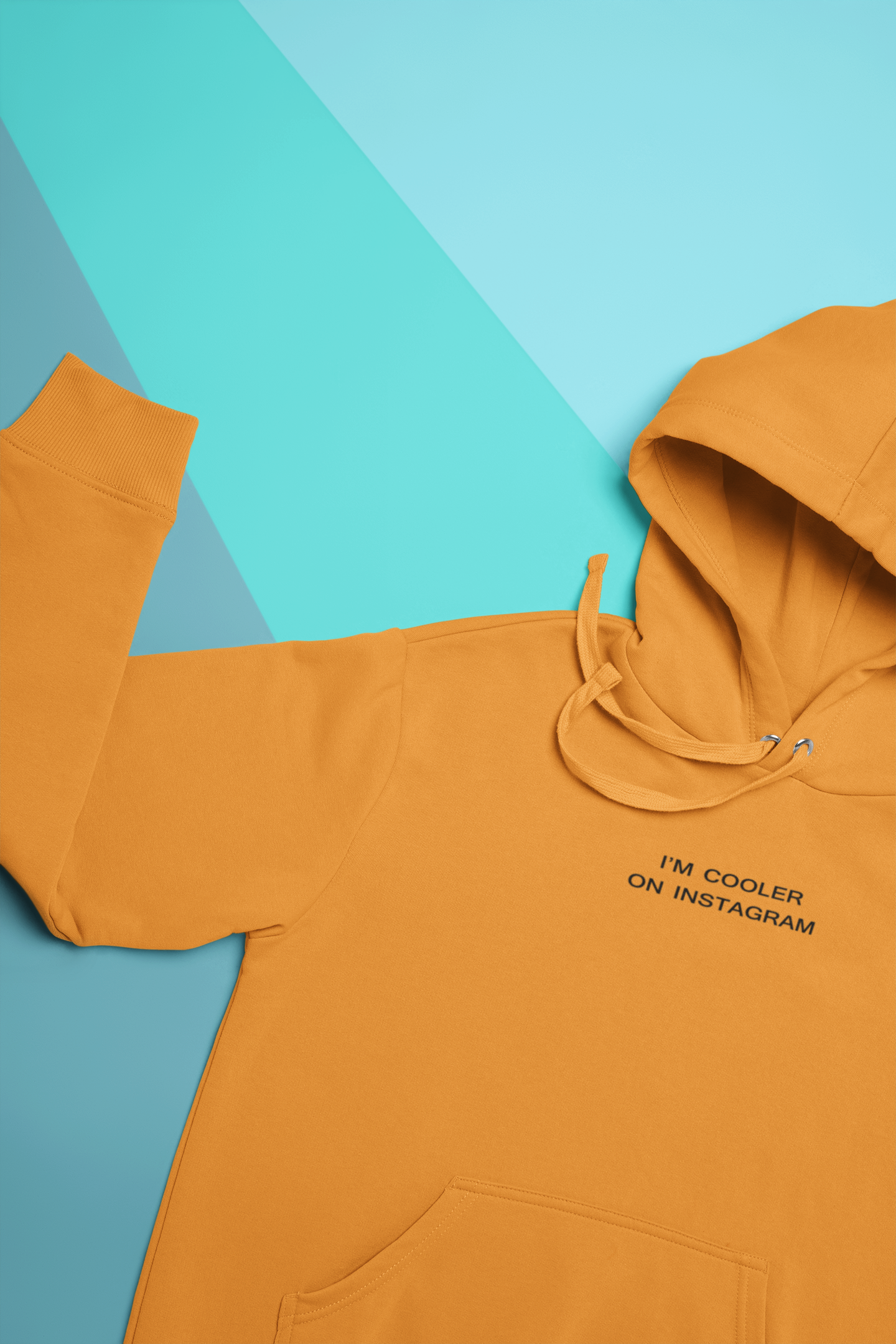 I Am Cooler On Instagram Hoodies for Women-FunkyTeesClub