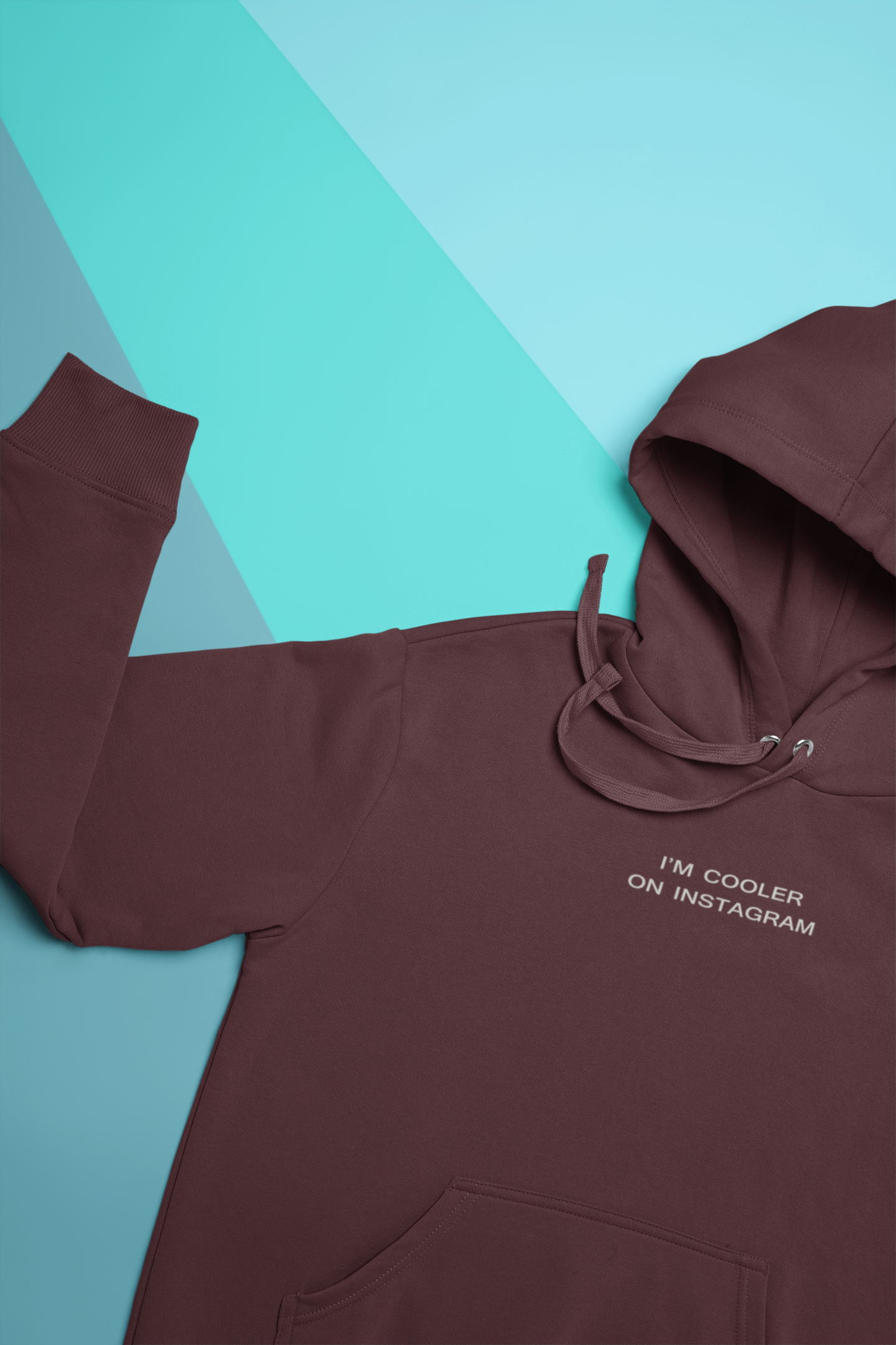 I Am Cooler On Instagram Hoodies for Women-FunkyTeesClub