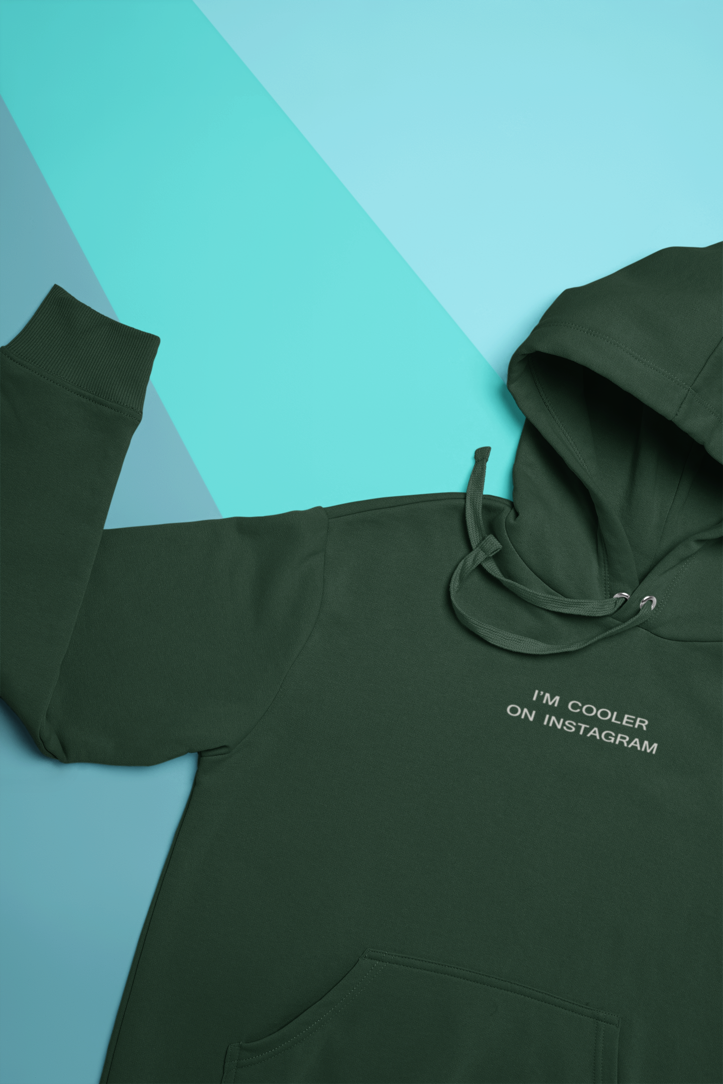 I Am Cooler On Instagram Hoodies for Women-FunkyTeesClub