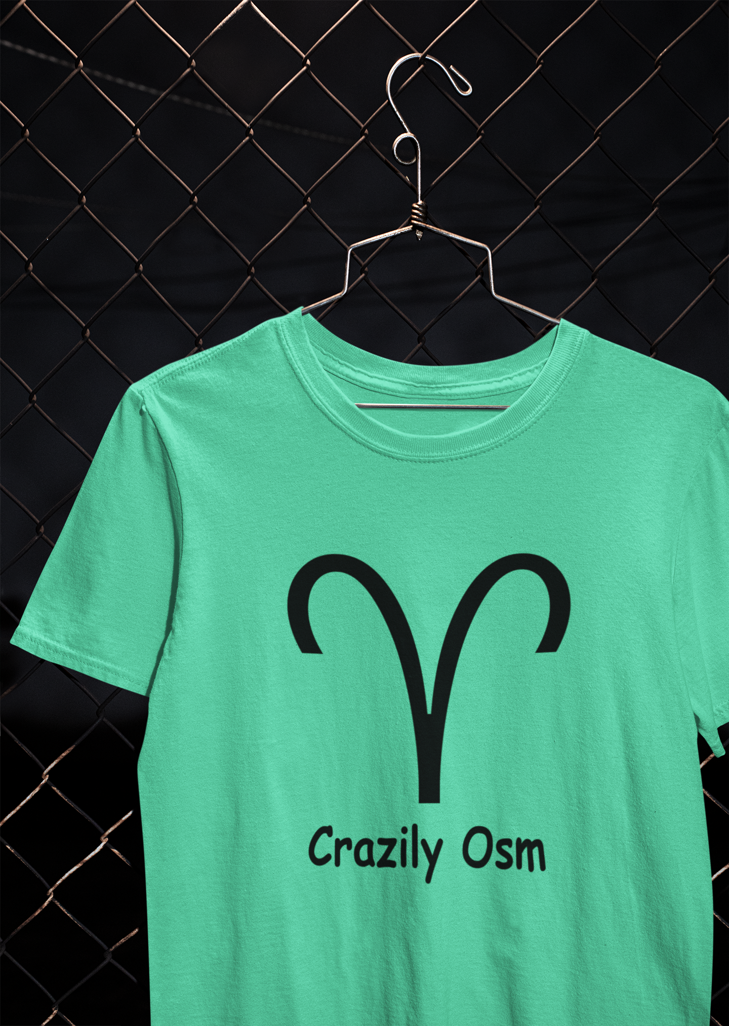 Aries Zodiac Sign Women Half Sleeves T-shirt- FunkyTeesClub