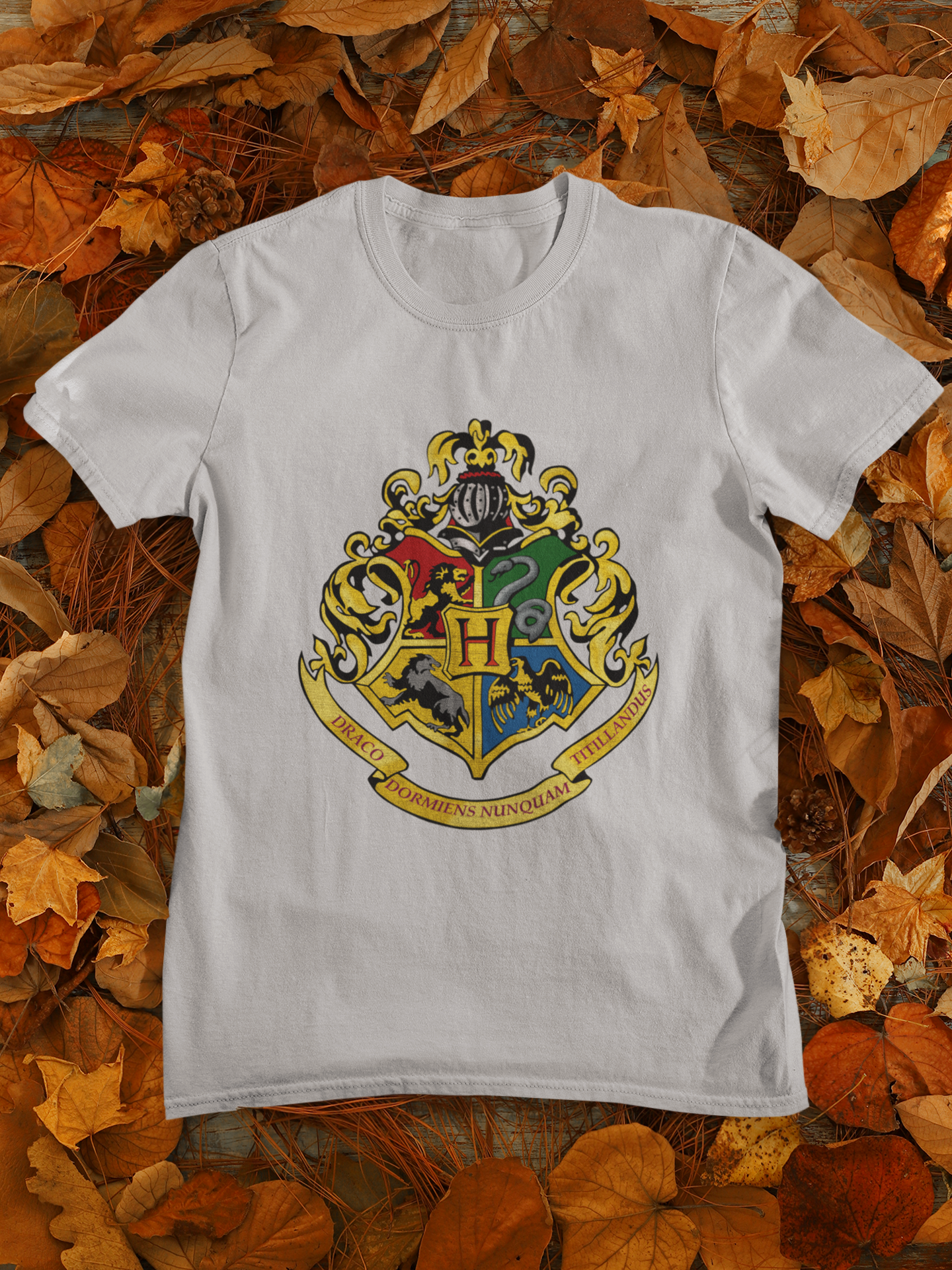 Harry Potter Web Series Mens Half Sleeves T-shirt- FunkyTeesClub