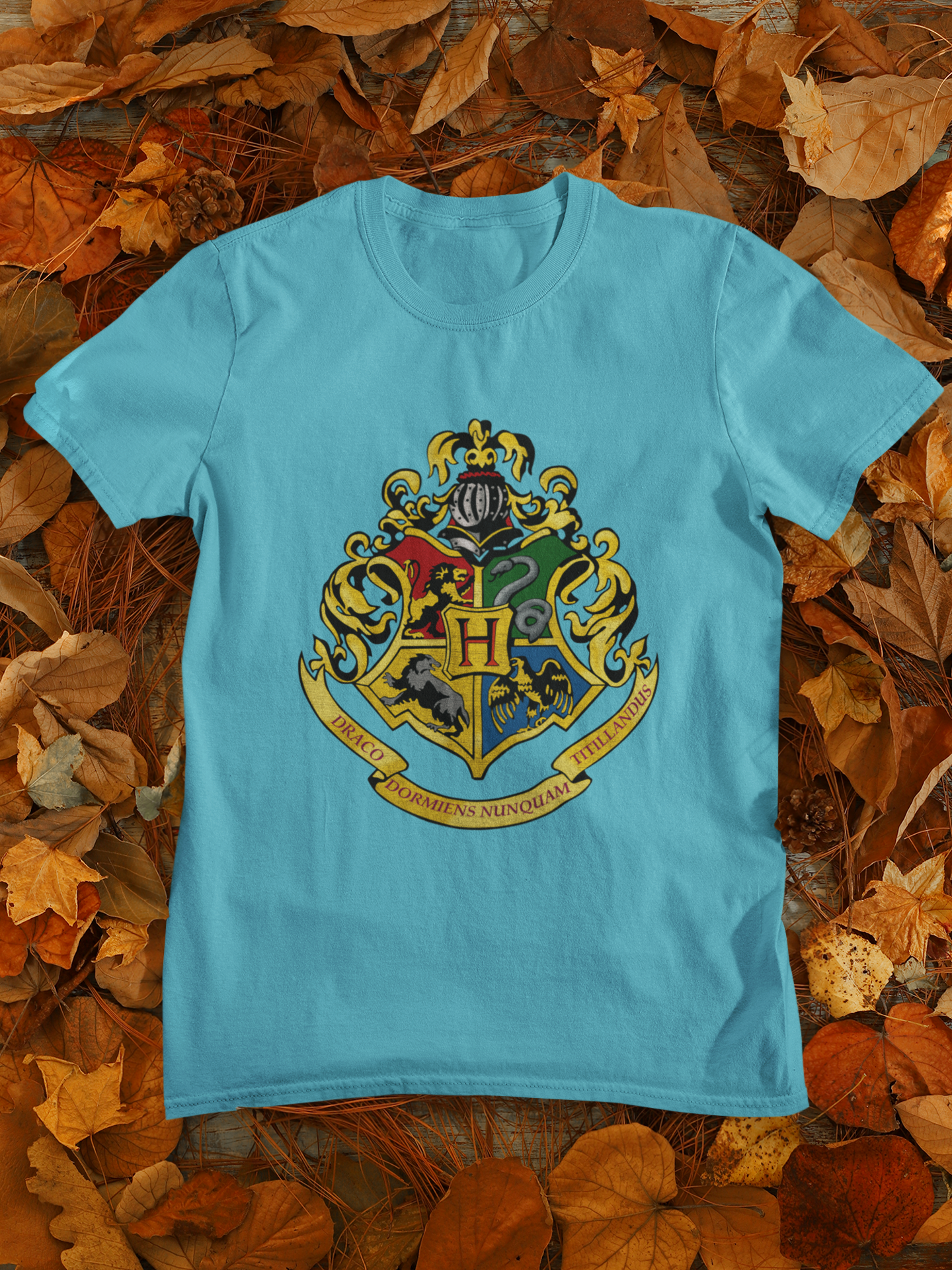 Harry Potter Web Series Mens Half Sleeves T-shirt- FunkyTeesClub