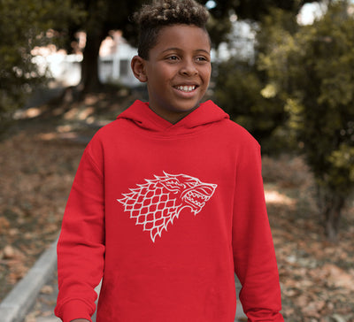 GOT Game Of Thrones Stark Logo Boy Hoodies-FunkyTeesClub