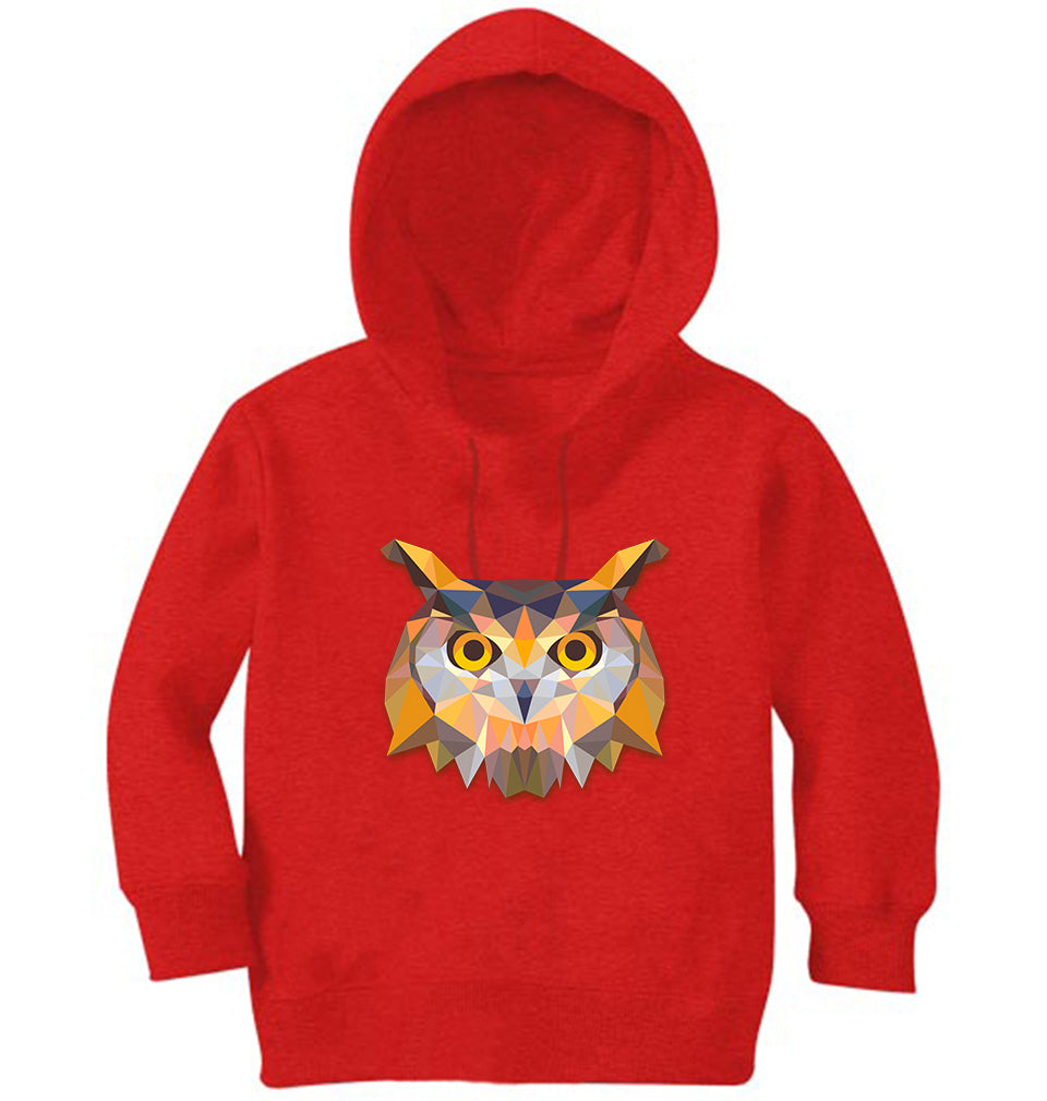 TRIANGLE OWL Boy Hoodies-FunkyTeesClub