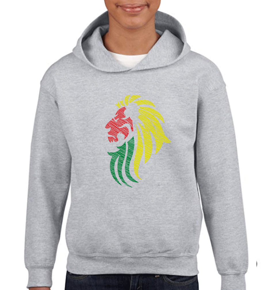 Lion Boy Hoodies-FunkyTeesClub
