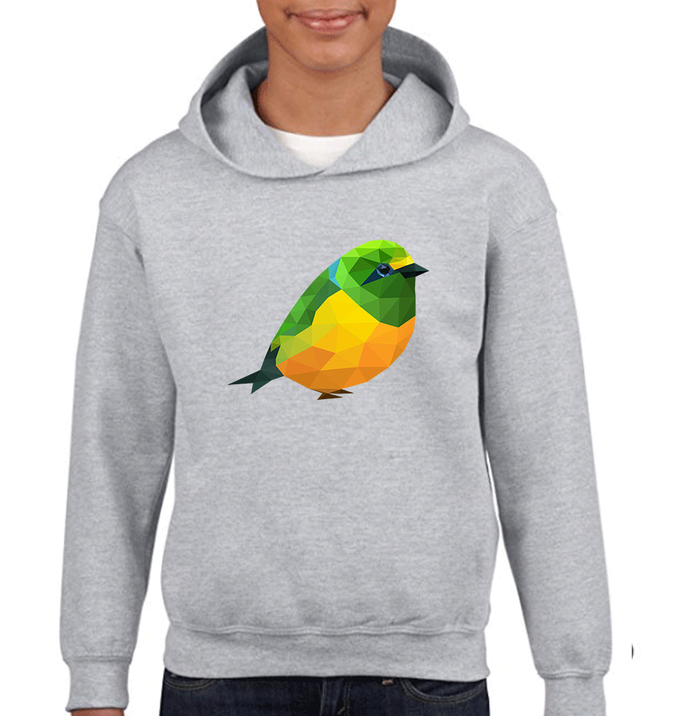 POLOGHRAM BIRD Boy Hoodies-FunkyTeesClub