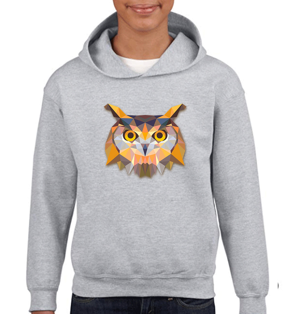 TRIANGLE OWL Boy Hoodies-FunkyTeesClub