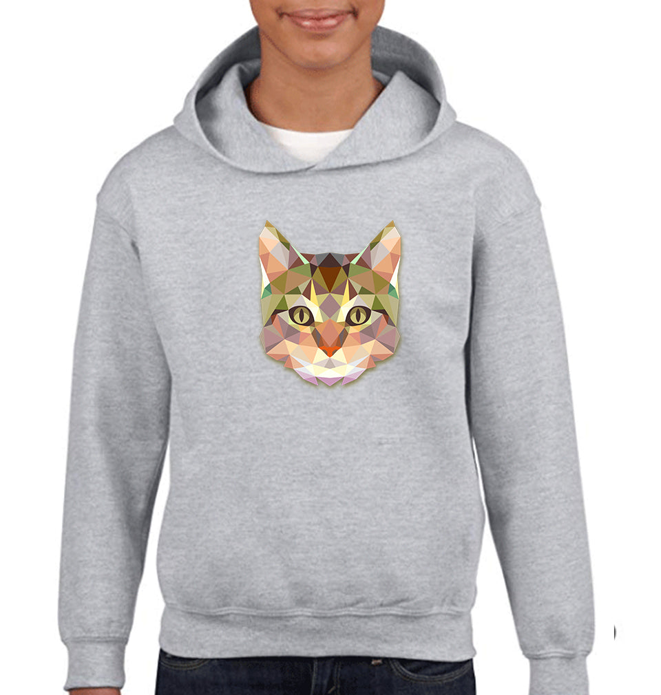 TRIANGLE CAT Boy Hoodies-FunkyTeesClub