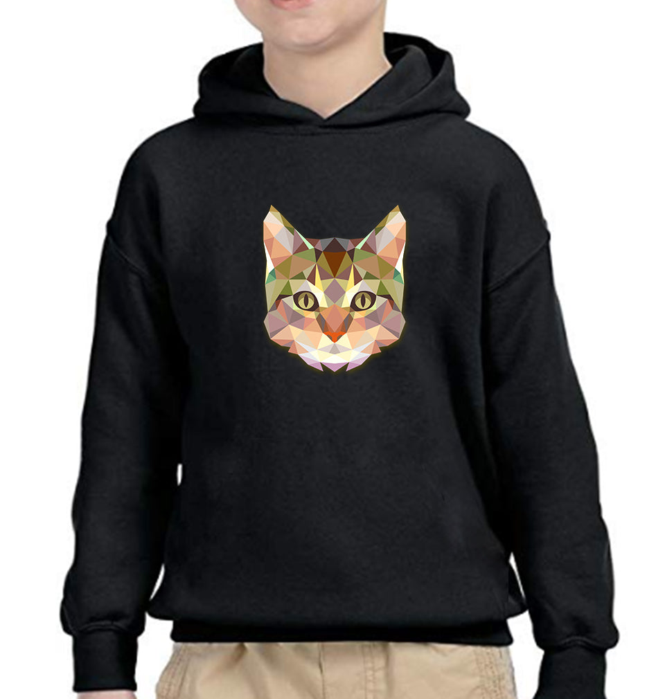 TRIANGLE CAT Boy Hoodies-FunkyTeesClub