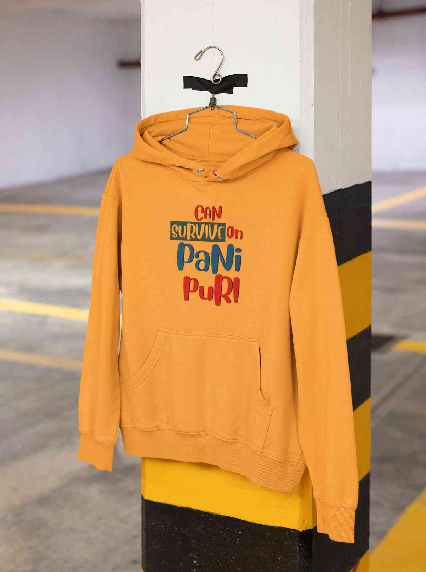Can Survive On Pani Puri Food Hoodies for Women-FunkyTeesClub