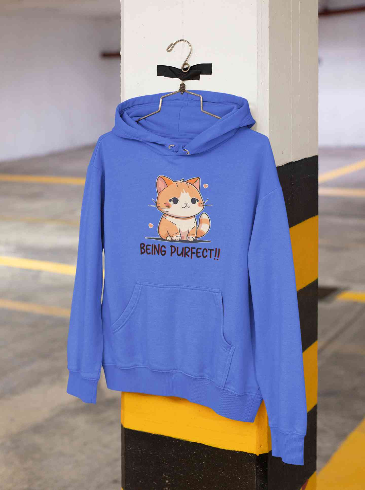 Being Purfect Hoodies for Women-FunkyTeesClub