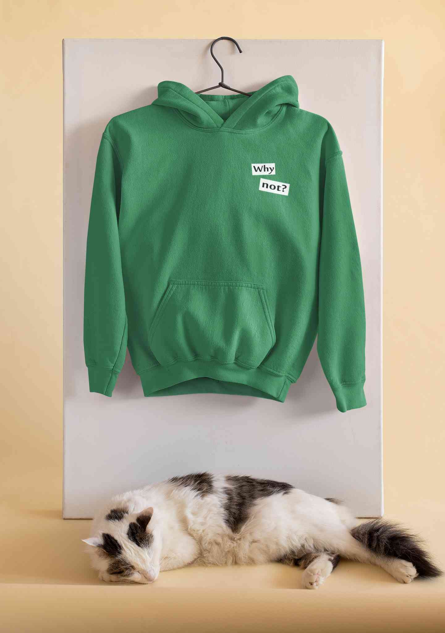 Why Not Men Hoodies-FunkyTeesClub