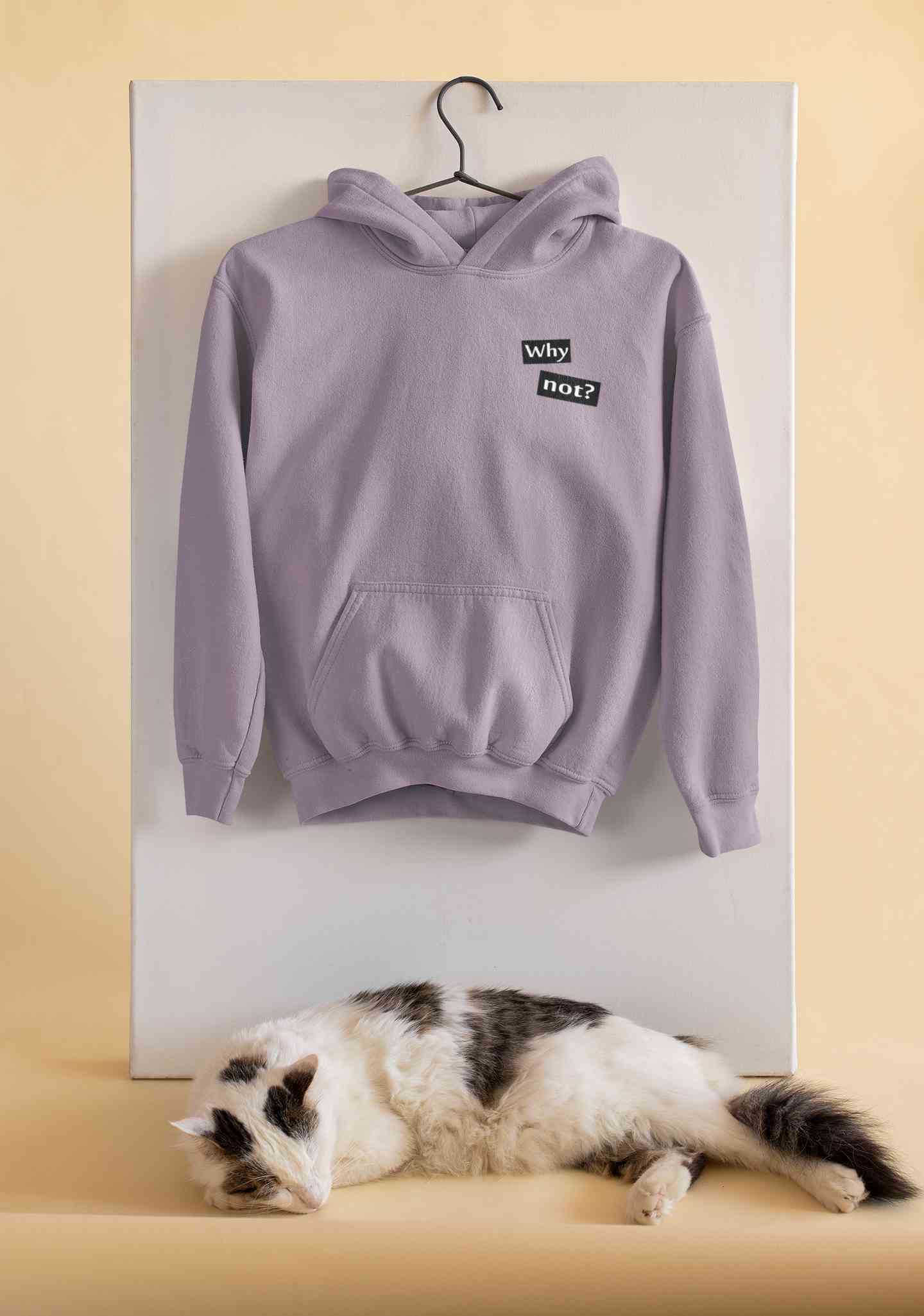 Why Not Men Hoodies-FunkyTeesClub