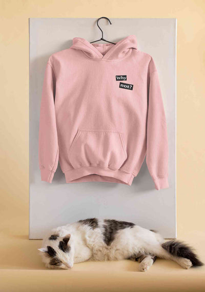 Why Not Men Hoodies-FunkyTeesClub