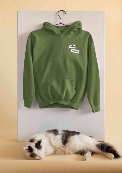 Why Not Men Hoodies-FunkyTeesClub