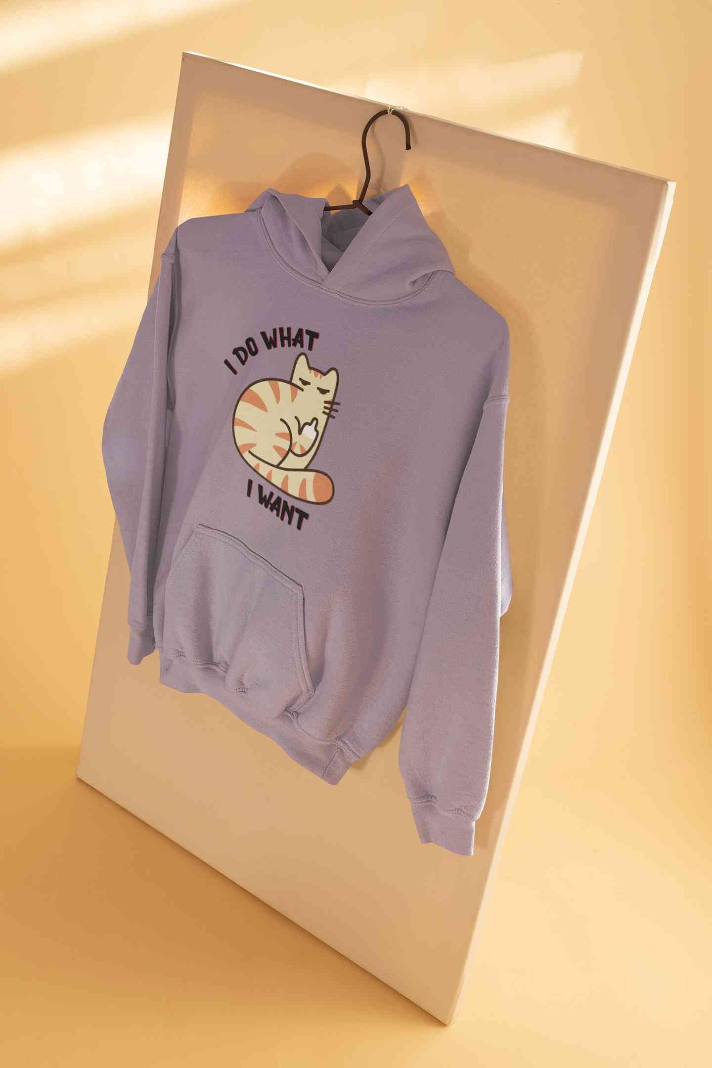 I Do What I Want Men Hoodies-FunkyTeesClub