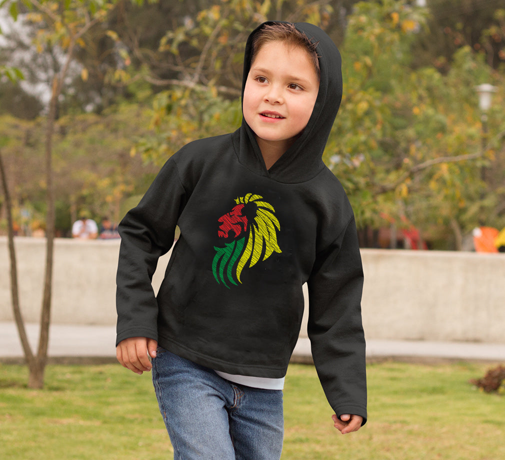 Lion Boy Hoodies-FunkyTeesClub