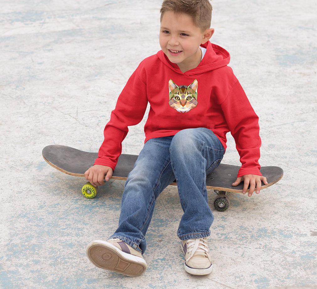TRIANGLE CAT Boy Hoodies-FunkyTeesClub