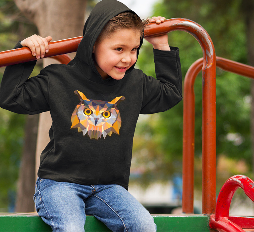 TRIANGLE OWL Boy Hoodies-FunkyTeesClub