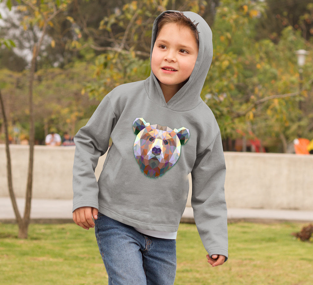 TRIANGLE BEAR Boy Hoodies-FunkyTeesClub