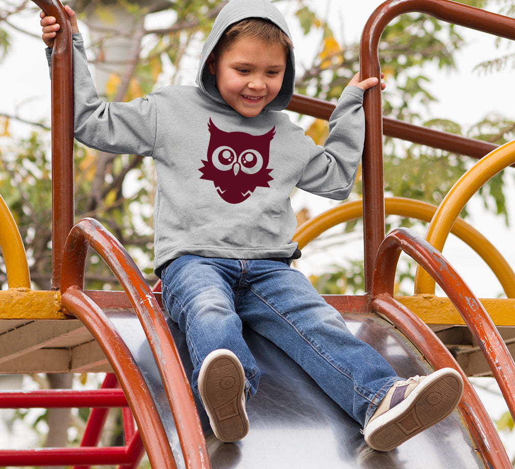 Cute Baby Owl Boy Hoodies-FunkyTeesClub