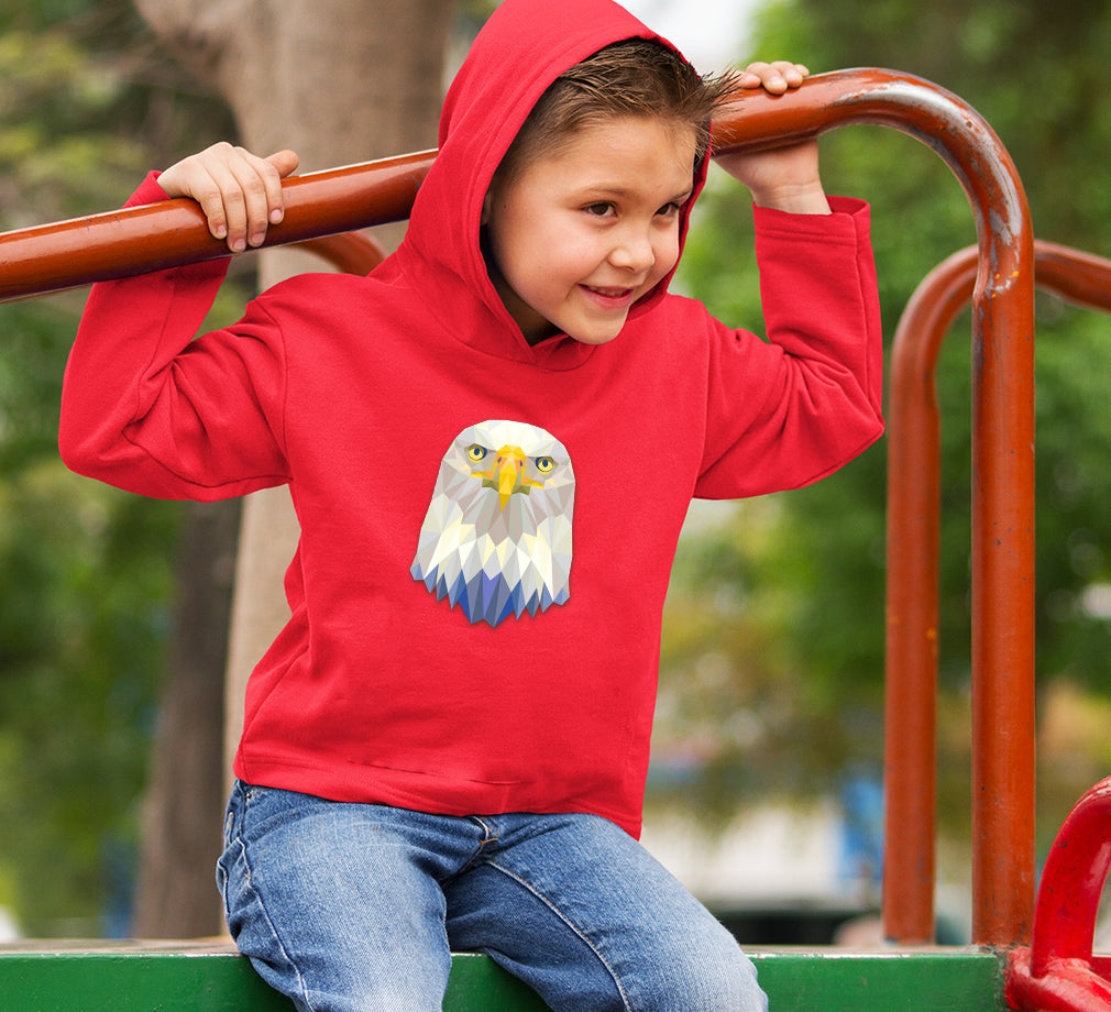 TRIANGLE EAGLE Boy Hoodies-FunkyTeesClub