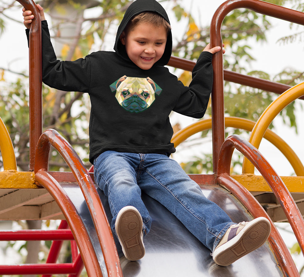 TRIANGLE DOG Boy Hoodies-FunkyTeesClub
