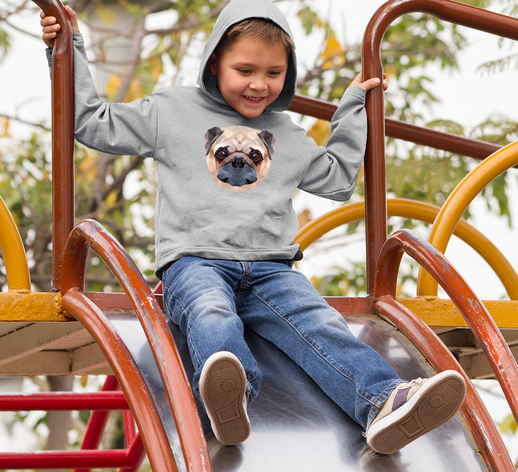 PUG Boy Hoodies-FunkyTeesClub