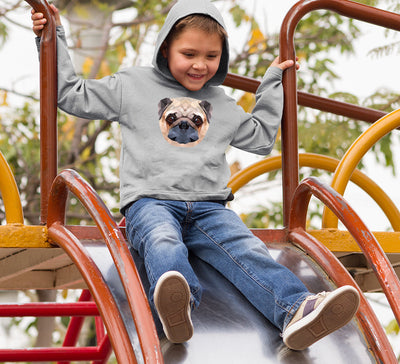 PUG Boy Hoodies-FunkyTeesClub
