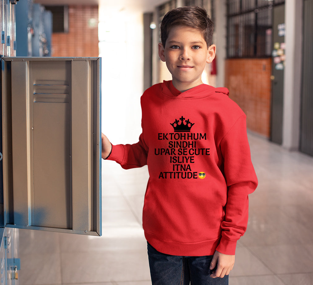 Ek Toh Hum Sindhi Boy Hoodies-FunkyTeesClub
