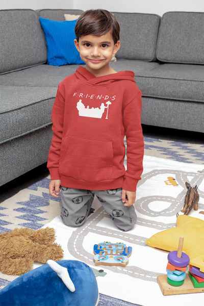 F.R.I.E.N.D.S Friends Web Series Boy Hoodies-FunkyTeesClub
