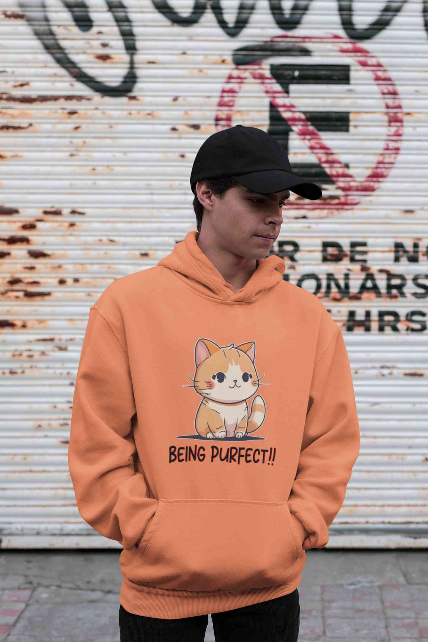 Being Purfect Men Hoodies-FunkyTeesClub