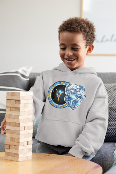 Aries Zodiac Sign Boy Hoodies-FunkyTeesClub