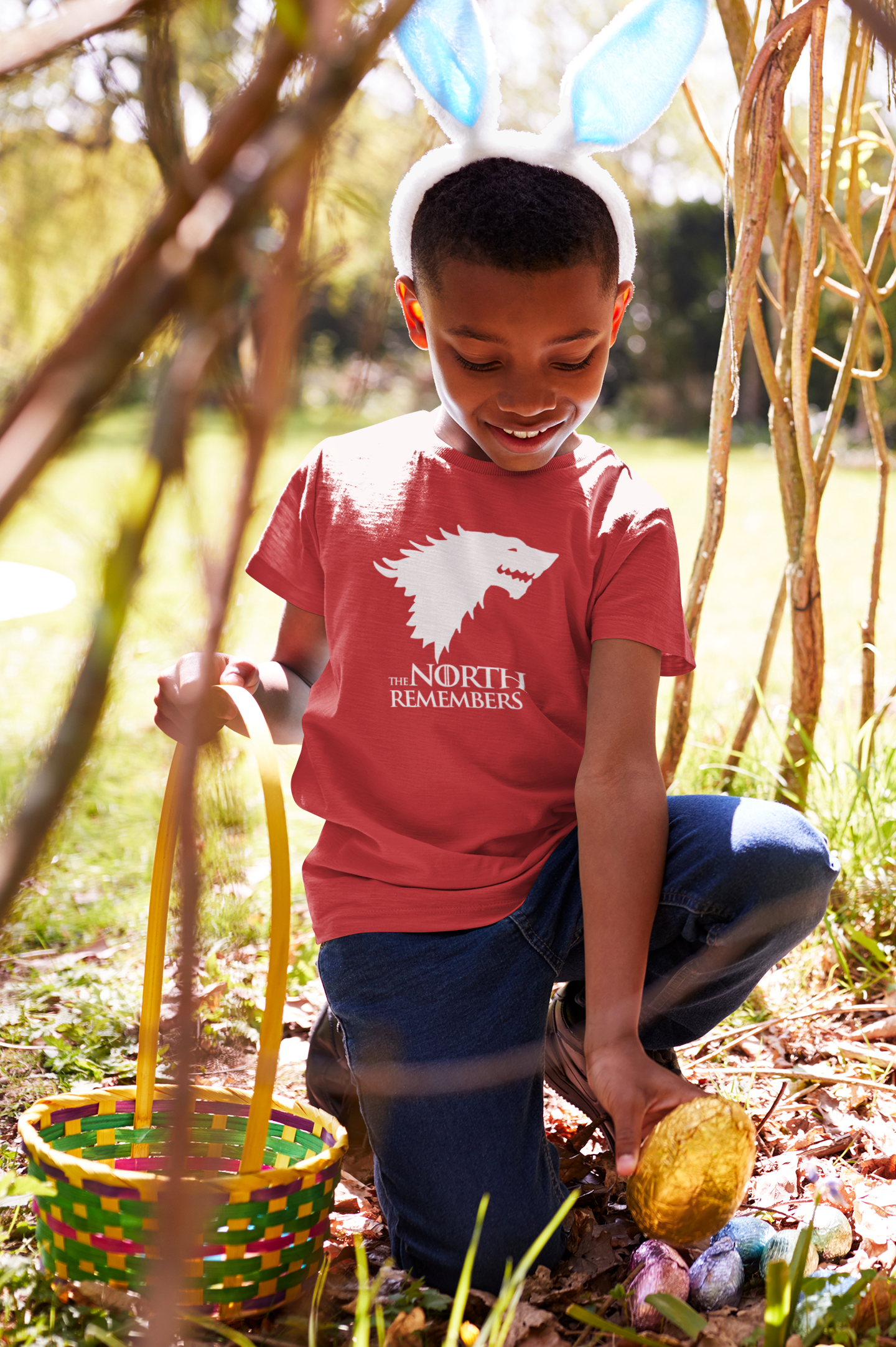 The North Remembers Web Series Half Sleeves T-Shirt for Boy-FunkyTeesClub