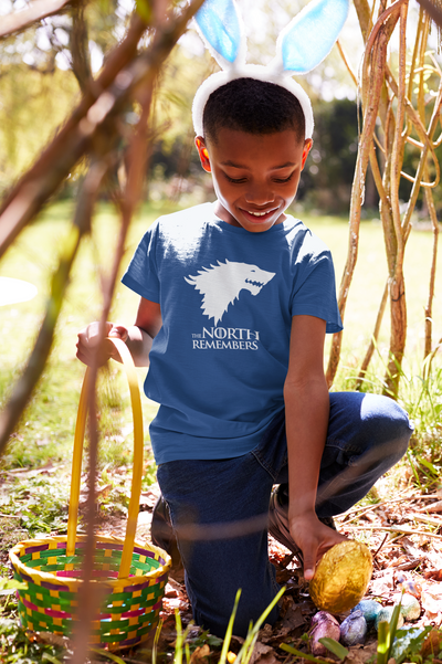 The North Remembers Web Series Half Sleeves T-Shirt for Boy-FunkyTeesClub