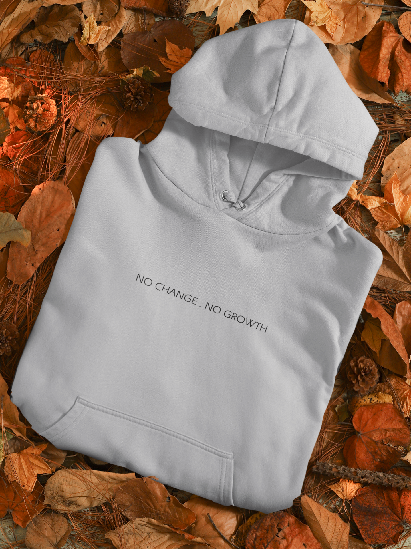 No Change No Growth Men Hoodies-FunkyTeesClub