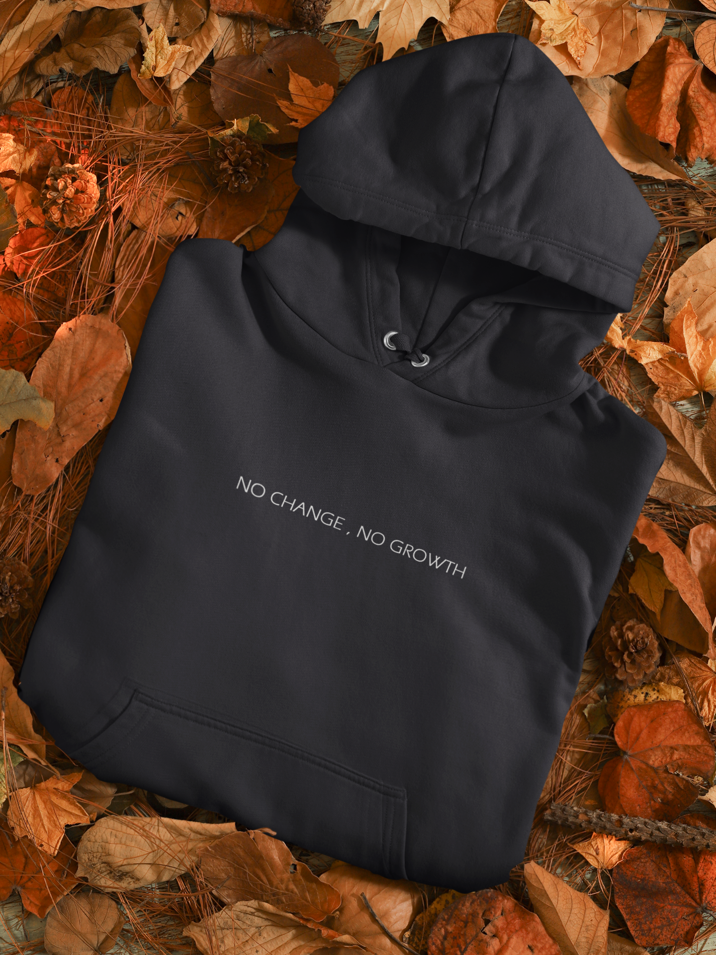 No Change No Growth Men Hoodies-FunkyTeesClub