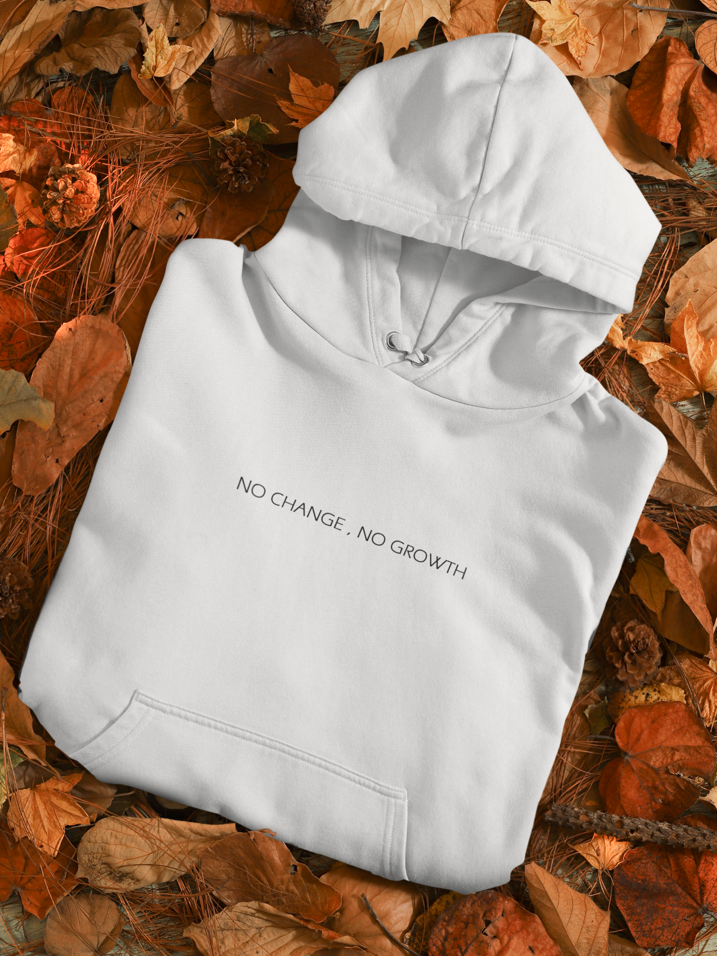 No Change No Growth Men Hoodies-FunkyTeesClub