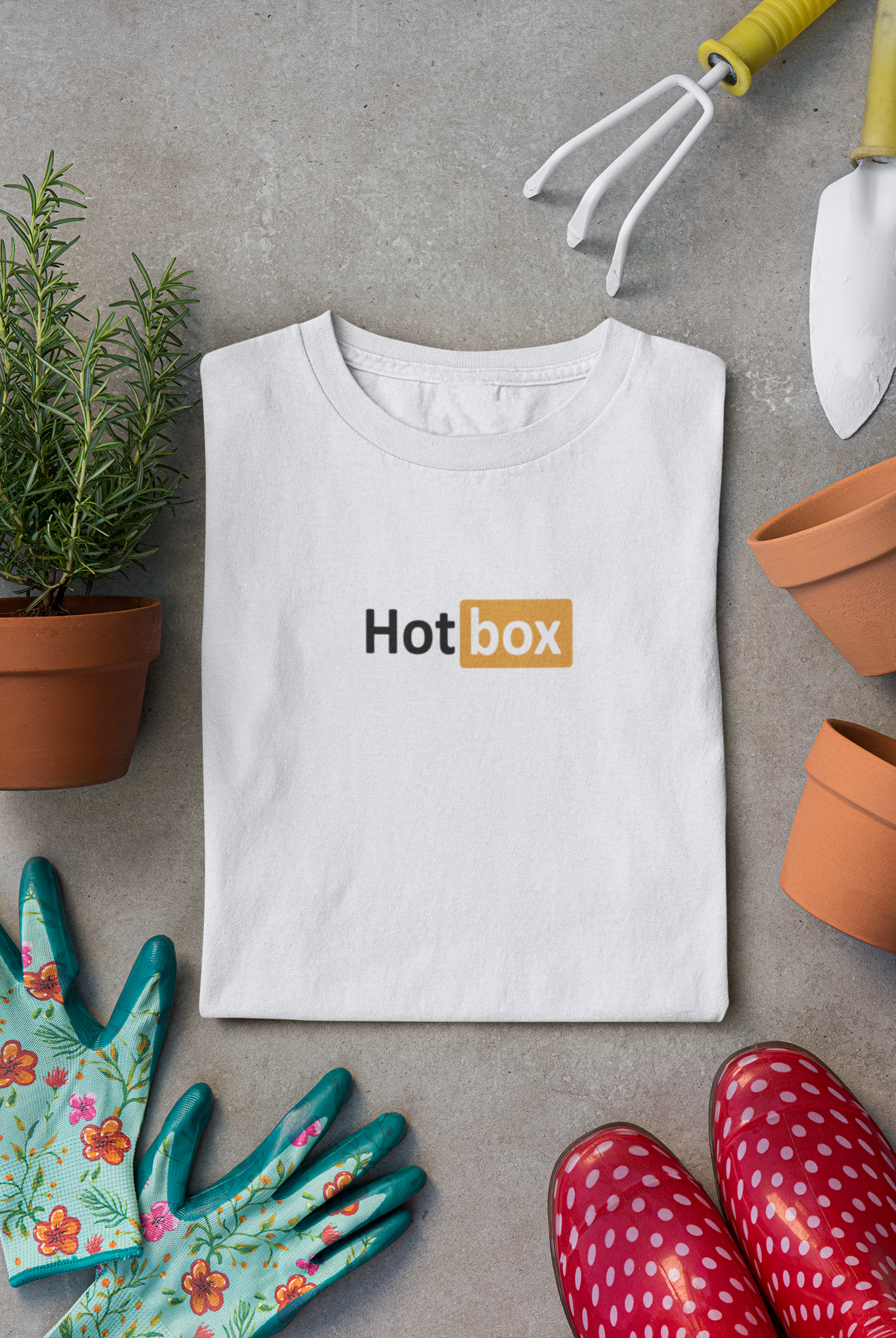 Hot Box Women Half Sleeves T-shirt- FunkyTeesClub