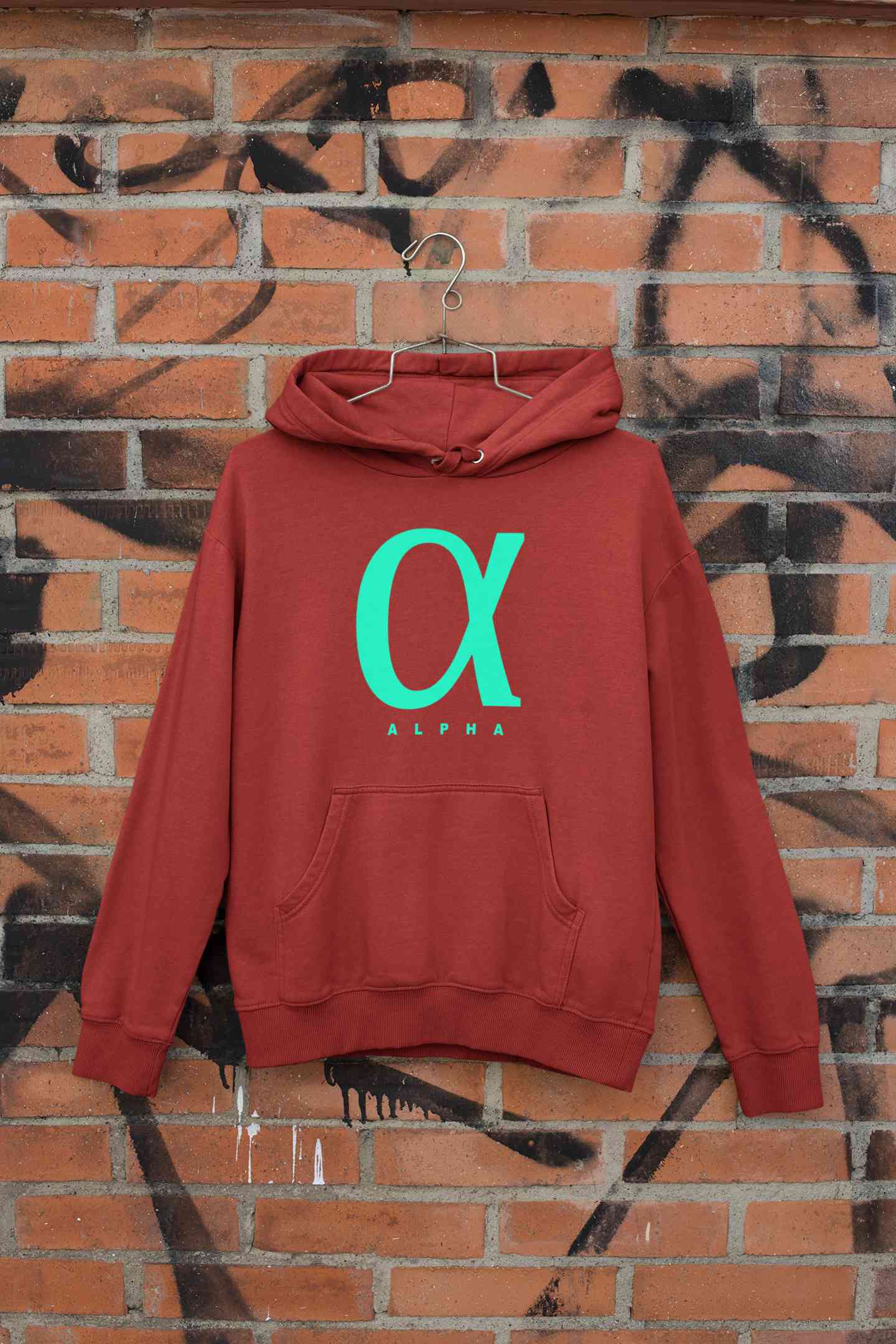 Alpha Men Hoodies-FunkyTeesClub