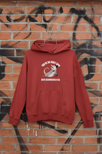 You Are An Adult Now With Responsibilities Funny Men Hoodies-FunkyTeesClub