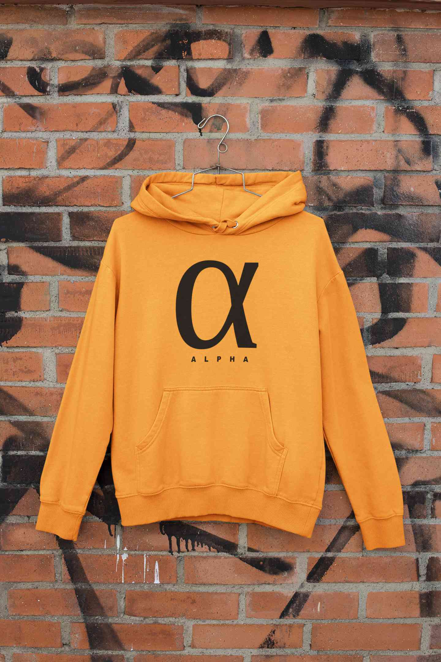 Alpha Men Hoodies-FunkyTeesClub